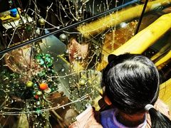 -渔太泰漓江小馆·广西融合菜(西街店)