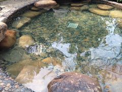 iphone_upload_pic-天目湖涵田半山温泉水乐园