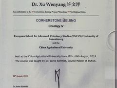 -派美特宠物医院·核磁CT·骨科肿瘤·疑难转诊(沈农禾丰店)