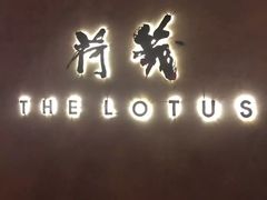 -几荷·恰似故人来(秀水广场店)