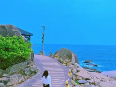 -广东惠东海龟国家级自然保护区