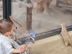 -海合安成都极地海洋公园
