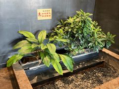 -大鸭梨烤鸭(顺义石园店)