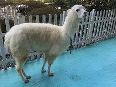 -舟山朱家尖威斯汀酒店·知味标帜自助餐厅