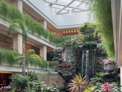 -广州白天鹅宾馆