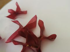 山楂衣裹牛油果-无味舒食(环岛路店)