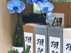 -森味薪火烧•烧鸟居酒屋•日本料理(望京店)
