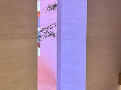 -舒小悦·舒养SPA·古法推拿(光环中心店)