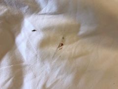 -苏州环秀晓筑养生度假村