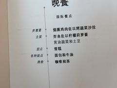 -新加坡航空公司(ION)