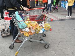 -卜蜂莲花(杨高北路店)