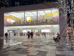 -Apple零售店(成都太古里店)