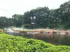 -广州长隆飞鸟乐园