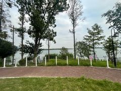 -金鸡湖桃花岛