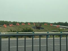 -合肥滨湖国家森林公园