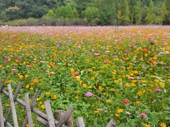 -贵阳市花溪国家城市湿地公园