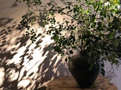 -隐溪茶馆(静安寺店)