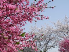 -苏州上方山国家森林公园