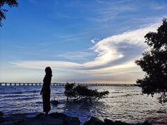 -宝安西湾红树林湿地公园