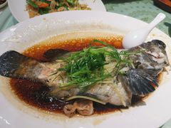 清蒸珍珠龙趸鱼-海儀美食楼(湾仔海鲜街店)