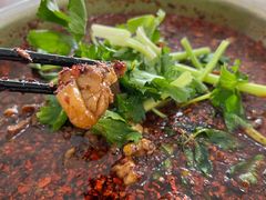 -温江公平红烧兔(总店)