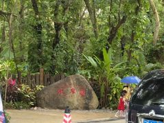 -西双版纳傣族园