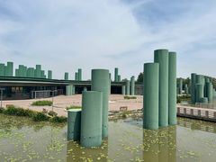 -西安浐灞国家湿地公园