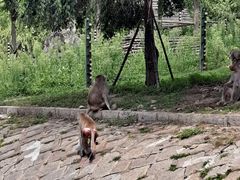 -哈尔滨北方森林动物园