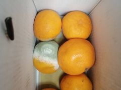 -鲜果壹号(旺墩店)