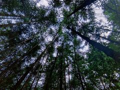 -青峰峡国家森林公园