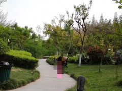 -成飞公园