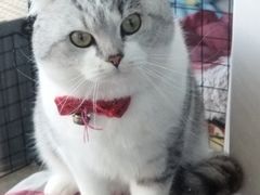 -世博家园十街坊