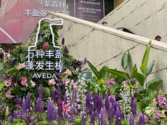 -上海久光百货
