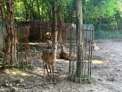 -无锡动物园·太湖欢乐园