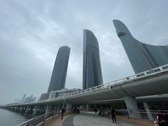 -演武大桥观景平台
