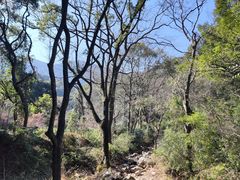 -北仑森林植物园