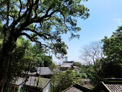 -茶颜悦色(岳麓山顶店)