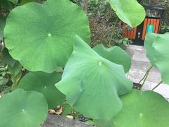 -西安关中民俗艺术博物院