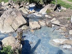 -狮子沟牧场