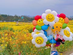 -三圣花乡旅游区