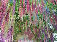 -恒大世纪梦幻城