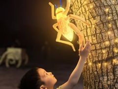 -雨花胜境