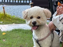 -J Create城市露营咖啡·简餐·宠物(上海动物园店)