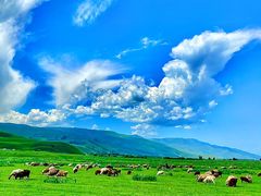 -新疆那拉提国家旅游度假区