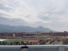 -泰安刘老根大舞台