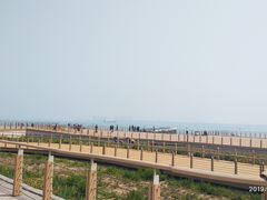 -东疆建设开发纪念公园