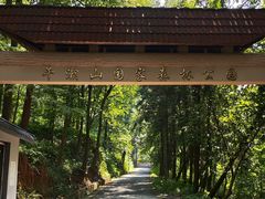-午潮山国家森林公园