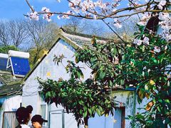 -巢湖姥山岛