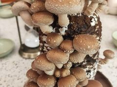-椰子营·椰子鸡火锅(万象里店)