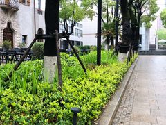 -Seesaw Coffee(上生新所店)